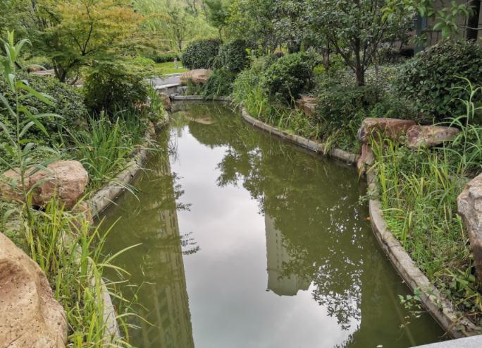 將園林工程劃分為幾類(lèi)呢？看看凱蒂園林今天的分享內(nèi)容吧！