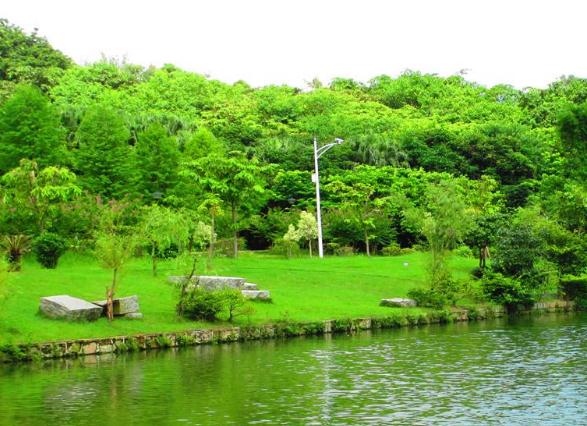 人工植被的應(yīng)用有什么樣的效果和作用呢？