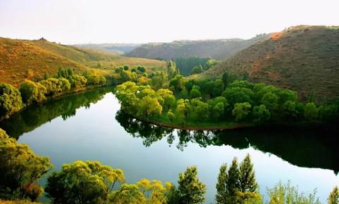 湖北園林綠化檔次提高，產(chǎn)品升級是必然，趕緊跟上這個趨勢