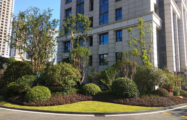 降溫了！湖北園林綠化公司分享植物萎蔫后的如何養(yǎng)護(hù)和復(fù)壯