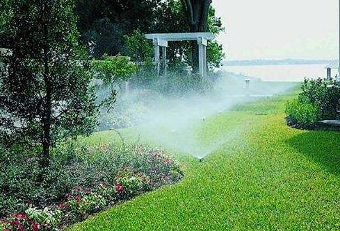 1月份園林養(yǎng)護，加強防凍與越冬害蟲防控是重點 