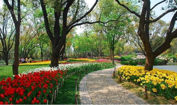 雪后，對受“硬傷”和“軟傷”的苗木 怎么養(yǎng)護