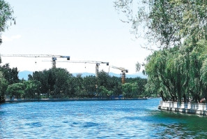 湖北凱蒂園林分享十種超耐寒的開花植物，不怕凍傷！ 