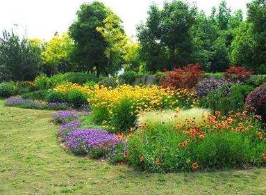 市政工程道路園林綠化要點(diǎn)，你了解嗎